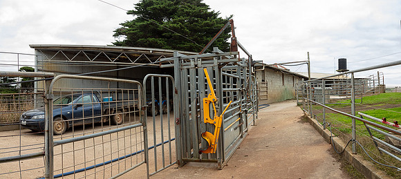 Simmonds_Dillon_Farm-4074-Pano_web