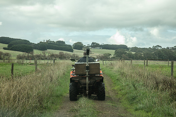 Simmonds_Dillon_Farm-3951_web