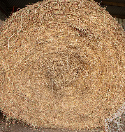 Simmonds_Dillon_Farm-3820_web