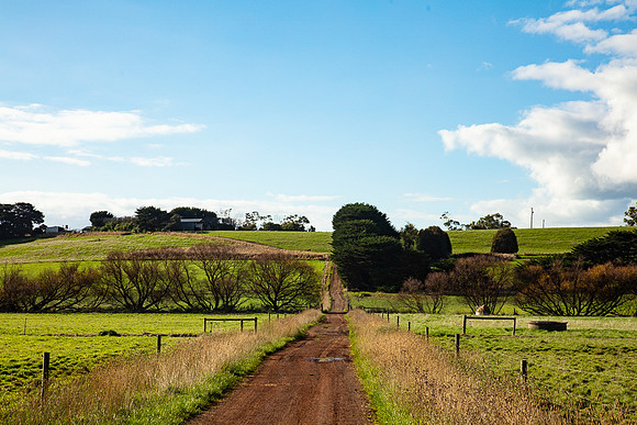 Simmonds_Dillon_Farm_3-4337_web