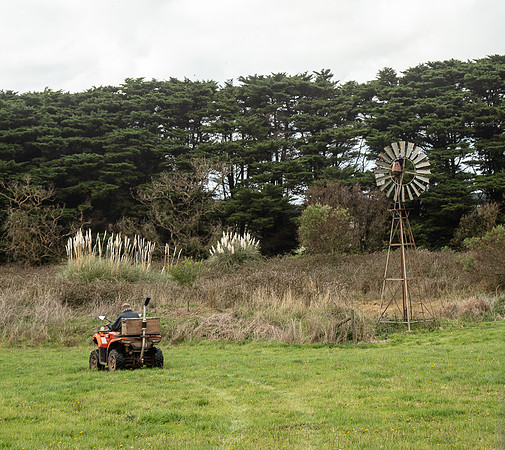 Simmonds_Dillon_Farm-3927_web