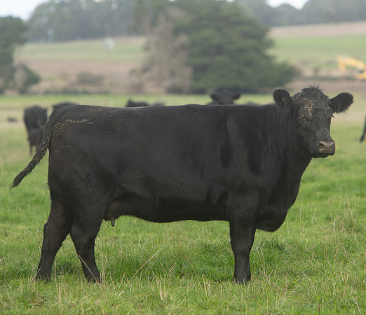 Simmonds_Dillon_Farm_3-4282_web