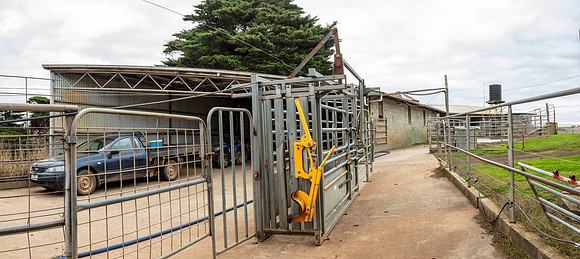 Simmonds_Dillon_Farm-4074-Pano_A4