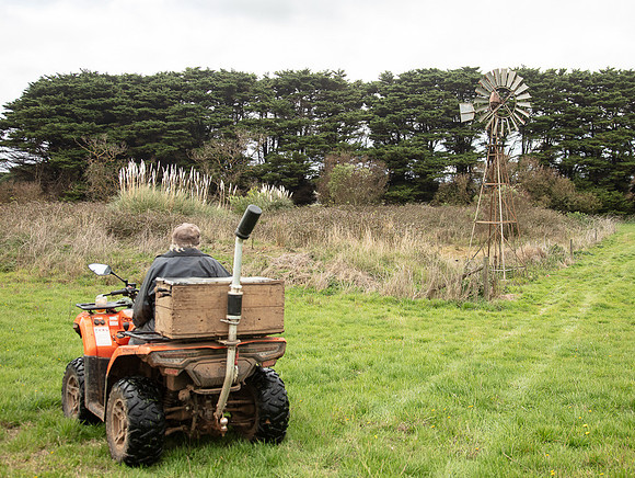 Simmonds_Dillon_Farm-3930_web