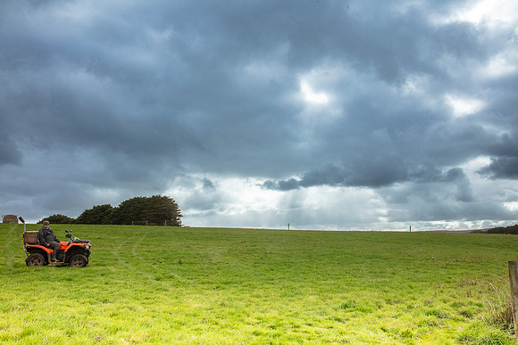 Simmonds_Dillon_Farm_MLF-3941_web