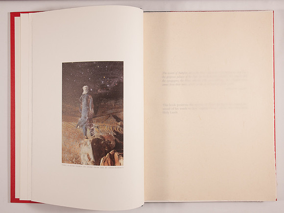 SIMMONDS _PLysiotis_A Gardener at Midnight