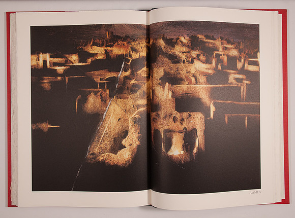 SIMMONDS _PLysiotis_A Gardener at Midnight