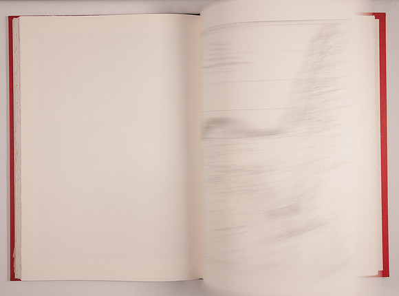 SIMMONDS _PLysiotis_A Gardener at Midnight