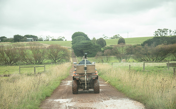 Simmonds_Dillon_Farm-3966_web