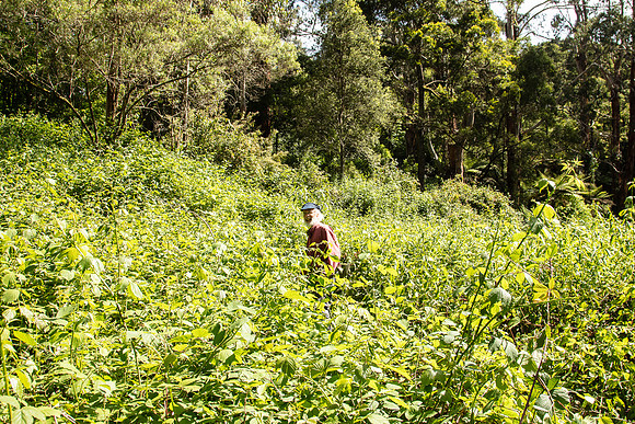 SIMMONDS_LC_Ian_in-the-Field-0205_web