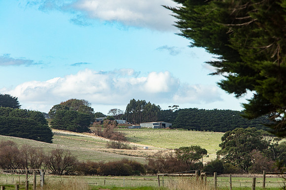 Simmonds_Dillon_Farm_3-4312_web