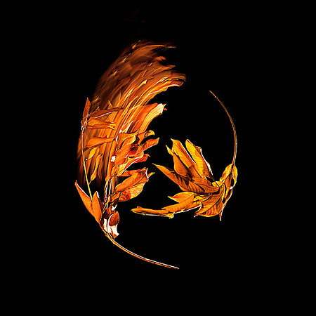 The Last Pas de Deux Series