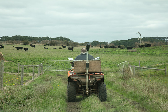 Simmonds_Dillon_Farm-4002_web