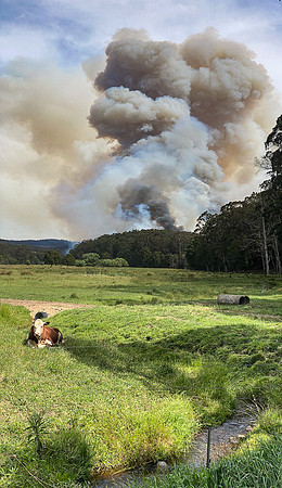 Simmonds_CFA_Chapelvale-0891