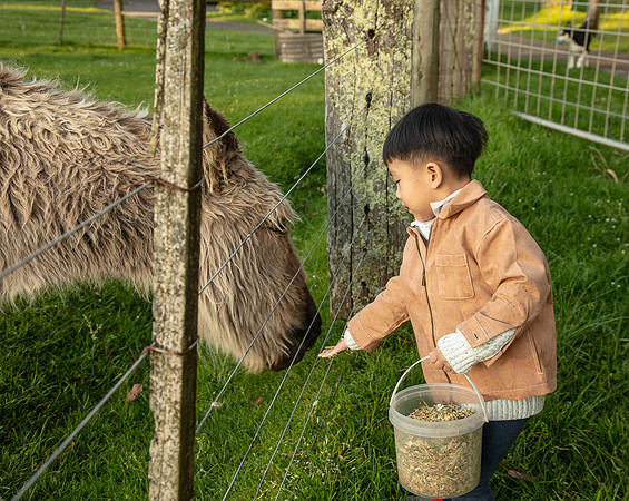 Simmonds_Xu_Family-6654