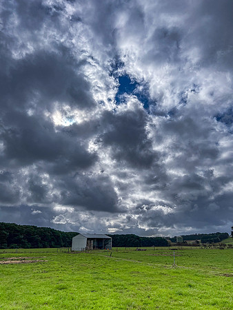 Curtis_Dillon_Farm-2625_web