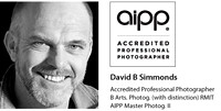 David-Headshot-AIPPlogo