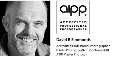 David-Headshot-AIPPlogo