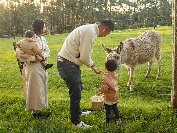 Simmonds_Xu_Family-6644