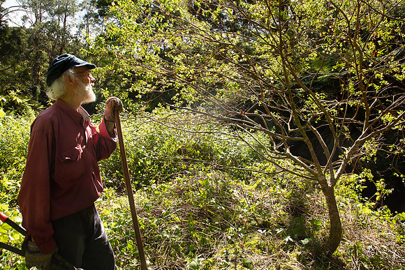 SIMMONDS_LC_Ian_in-the-Field-0207_web