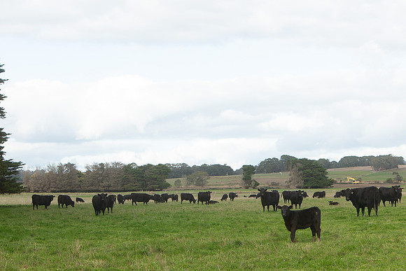 Simmonds_Dillon_Farm_3-4271_web