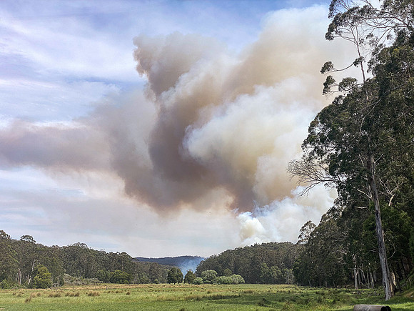 Simmonds_CFA_Chapelvale-0887
