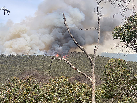 Simmonds_CFA_Chapelvale-0866