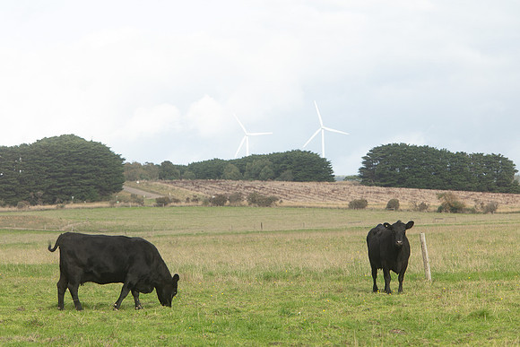 Simmonds_Dillon_Farm_3-4269_web