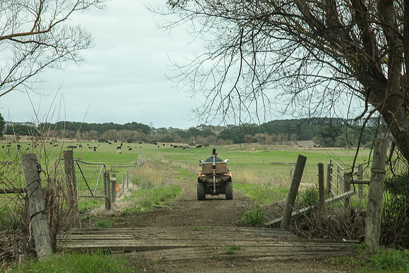 Simmonds_Dillon_Farm-3995_web