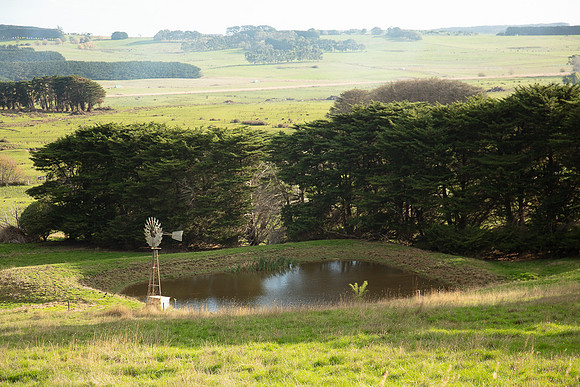Simmonds_Dillon_Farm_3-4358_web