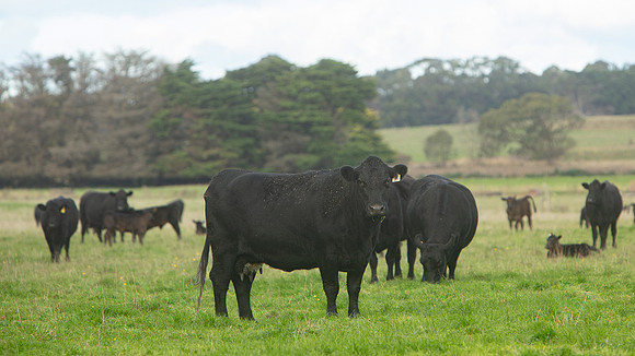 Simmonds_Dillon_Farm_3-4280_web