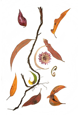 SIMMONDS-Natural_Abstraction_Spiral_MLF_3333-web