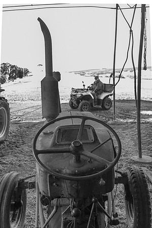 Simmonds_Dillon_Farm-3816_web