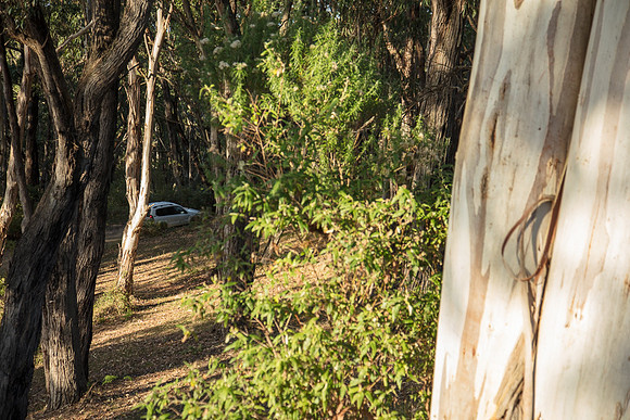 Simmionds_GA_Cottages0625