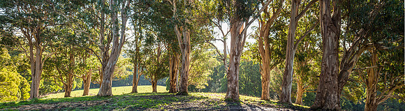SIMMONDS_OCRF_Tanybryn-7854-Edit