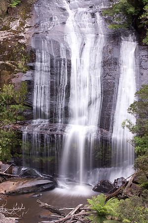 SIMMONDS_OtwayForest_3436