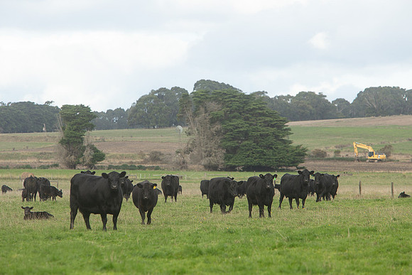 Simmonds_Dillon_Farm_3-4275_web