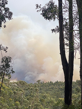 Simmonds_CFA_Chapelvale-0906