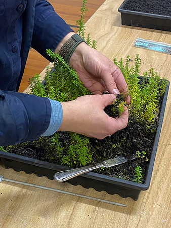 Simmonds_LC_Seed_workshop_25-2512
