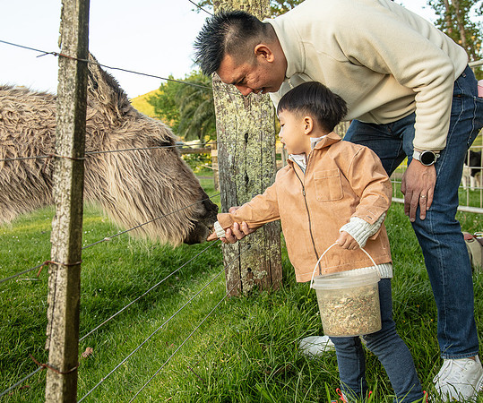 Simmonds_Xu_Family-6657