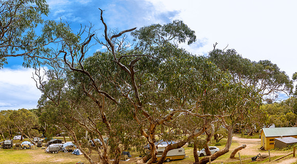 SImmonds_Bimbi_Main Camp ground-2923-Pano_web_