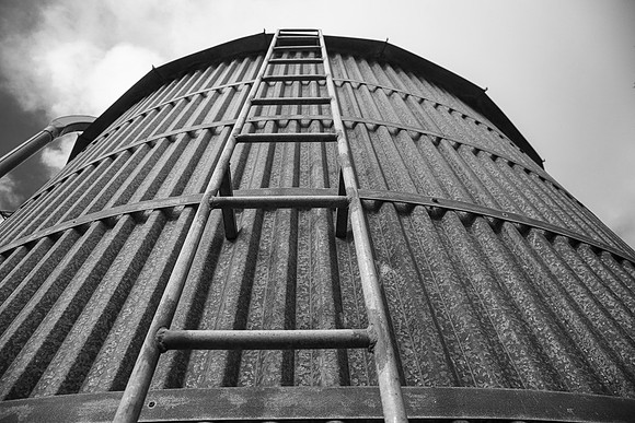 Simmonds_Dillon_Farm-3847_web-2