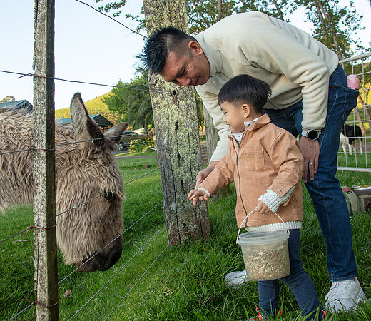 Simmonds_Xu_Family-6658