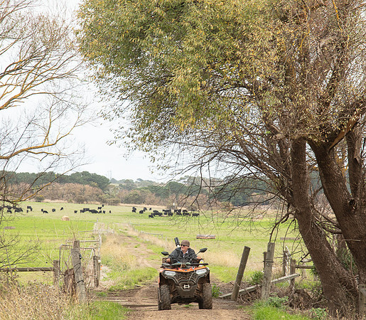 Simmonds_Dillon_Farm-4011_web