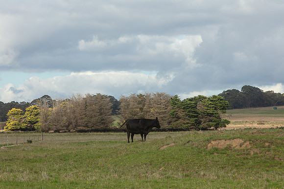 Simmonds_Dillon_Farm_3-4261_web