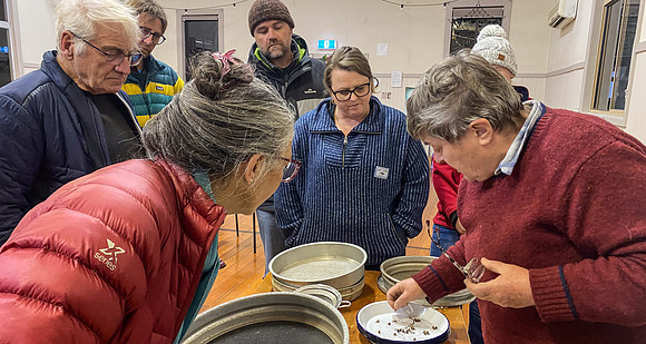 Simmonds_LC_Seed_workshop_25-2491
