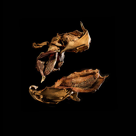 The Last Pas de Deux Series