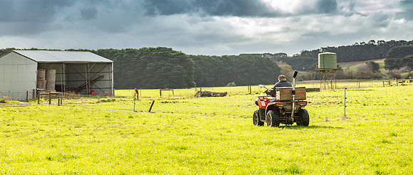 Simmonds_Dillon_Hayshed_165mm-_A4