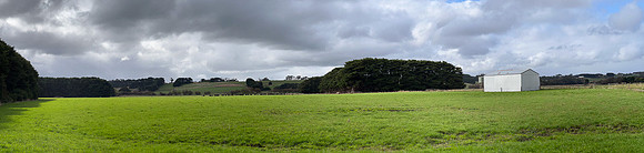 Curtis_Dillon_Farm-2620_web