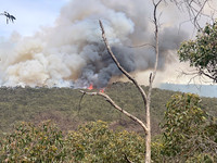 Chapelvale Fire